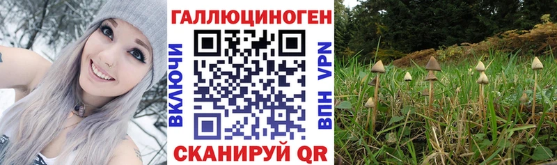 Галлюциногенные грибы Magic Shrooms  Псков 