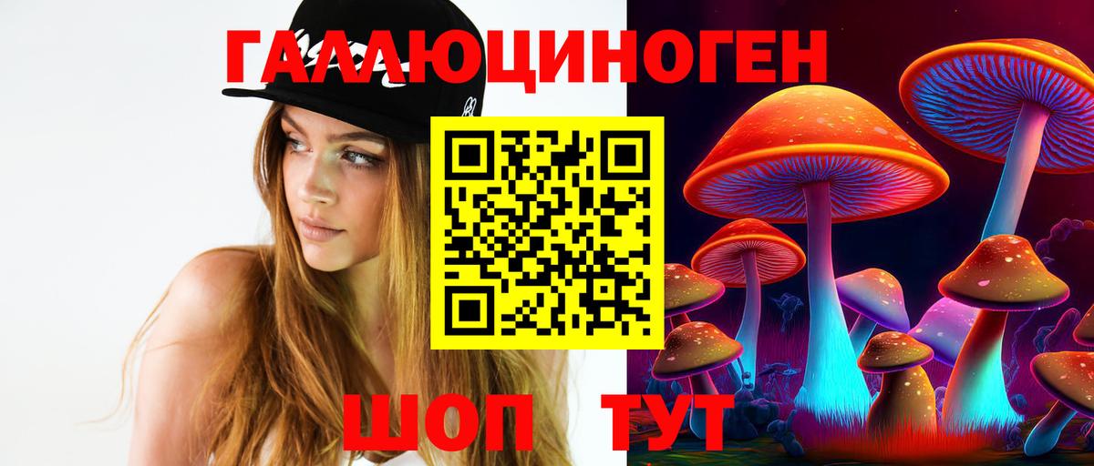 Псков  Галлюциногенные грибы Psilocybe  Вход с VPN 